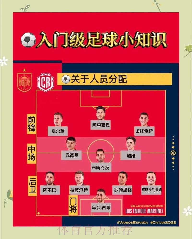 世界杯竞猜完全指南：从入门到高手